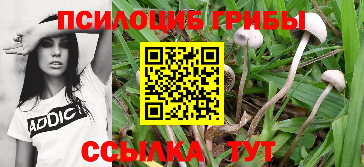 Псилоцибиновые грибы мухоморы  Вход с VPN  продажа наркотиков  Биробиджан 